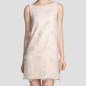 ERIN Erin Fetherston Faye Embroidered Organza Mini Dress Size 2 Pale Pink NEW